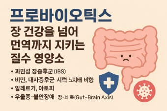 면역력 증진 식품