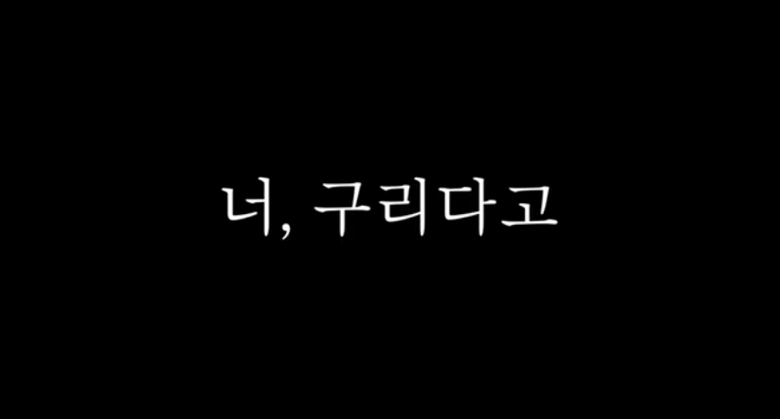 유튜버 너구리다고