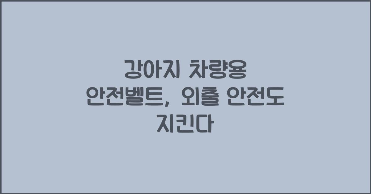 강아지 차량용 안전벨트, 외출 안전