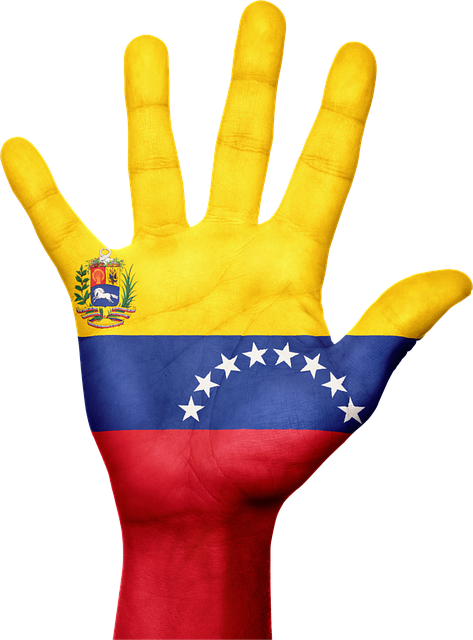 베네수엘라-대통령-마두로-체포