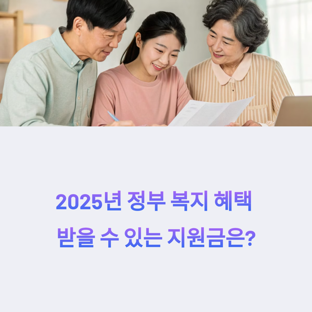 2025년 정부지원금