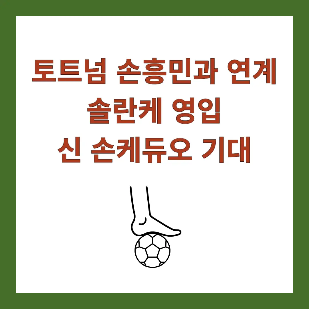 토트넘-손흥민-솔란케-영입