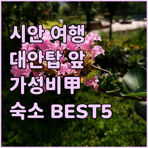 시안 여행 대안탑 근처 가성비 숙소 ..