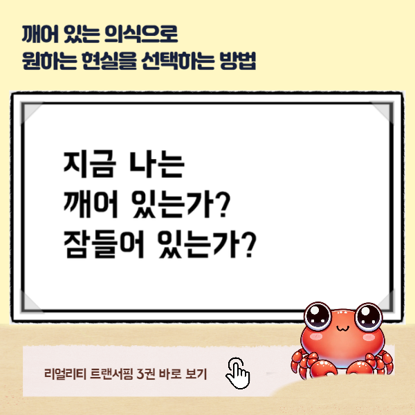 리얼리티 트랜서핑 3 깨어있음에 대한 설명 이미지