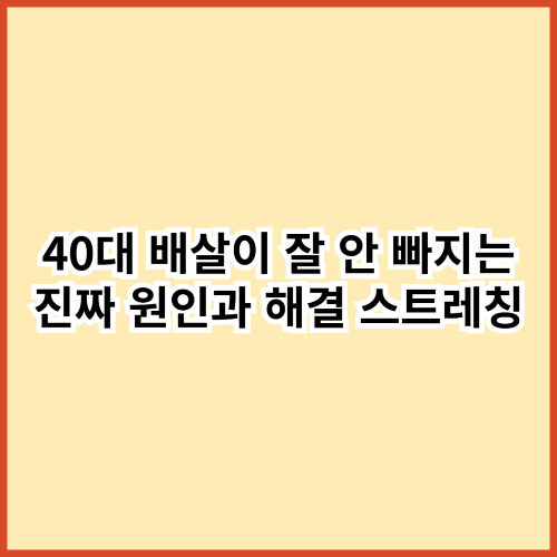 40대 배살이 잘 안 빠지는 진짜 원인과 해결 스트레칭