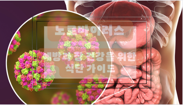 노로바이러스 예방