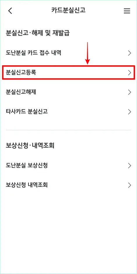 카드 분실신고 관련 메뉴 중 &amp;#39;분실신고 등록&amp;#39;을 선택
