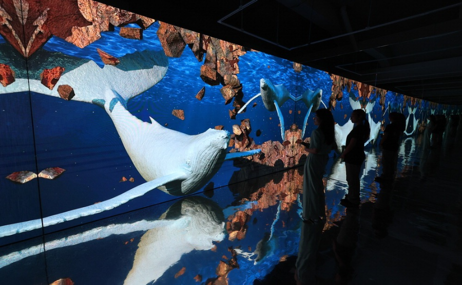 익산 미륵사지 석탑 미디어아트 주요 프로그램 &amp; 감상 포인트