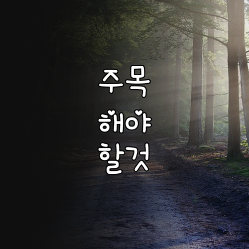 궁금증 해결! 2025 안양시 어린이..