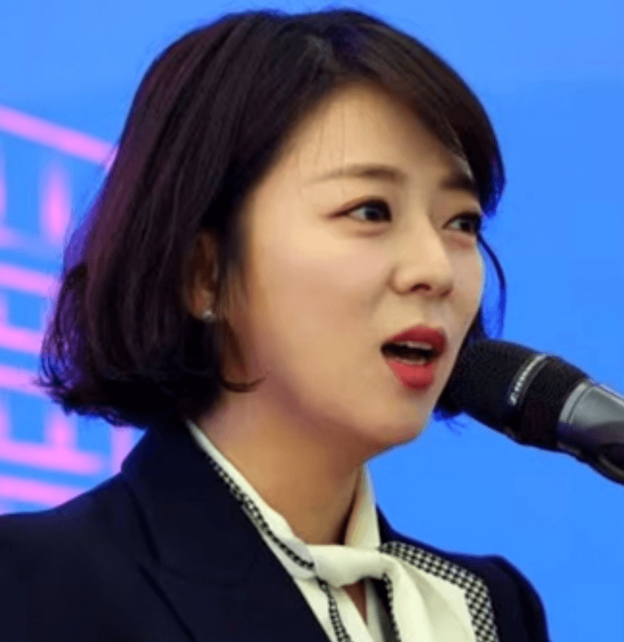배현진 피습 범인 중학생