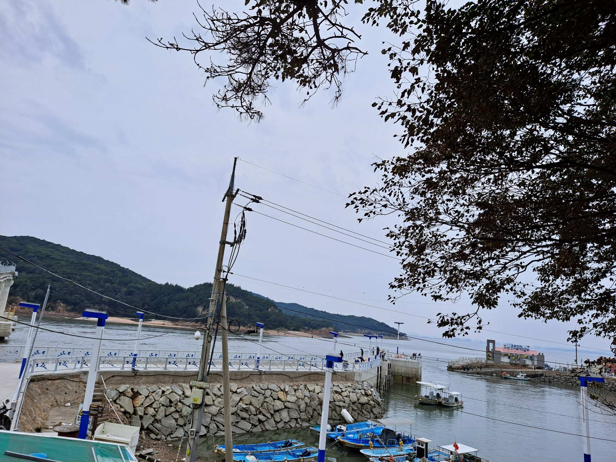 떼무리항이 보이다