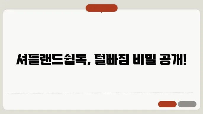 셔틀랜드쉽독 털빠짐 알아보기