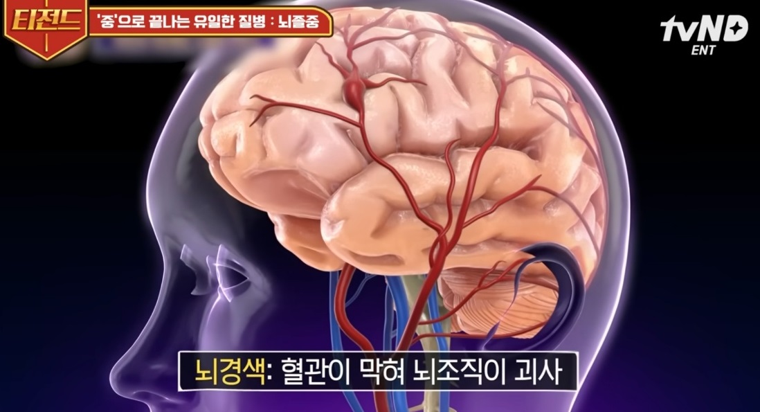명의-백남종-교수