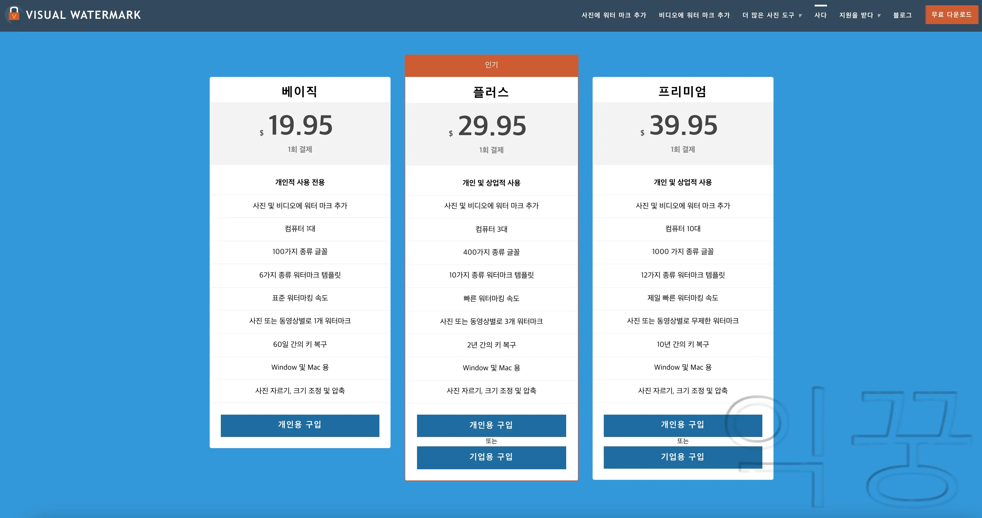 visual watermark 요금 가격