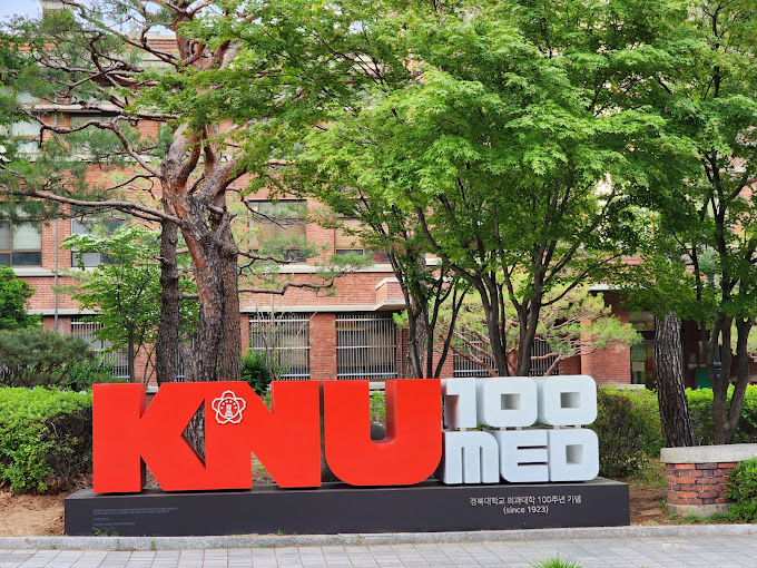 경북대 의과대학 100주년 기념물