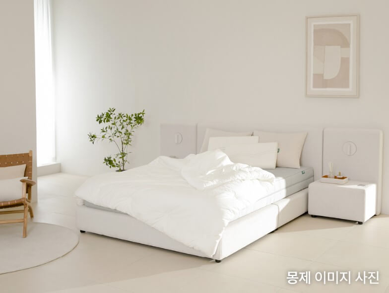 몽제이미지사진