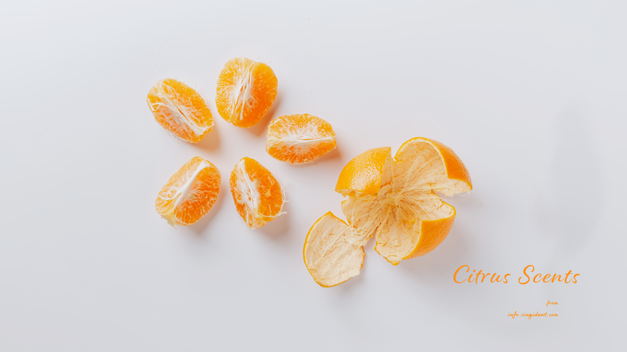 03 껍질 깐 귤 C - Citrus Scents 주황색배경화면