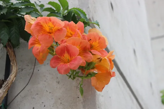 국립중앙박물관 상설전시 기획전시 예매 할인_6