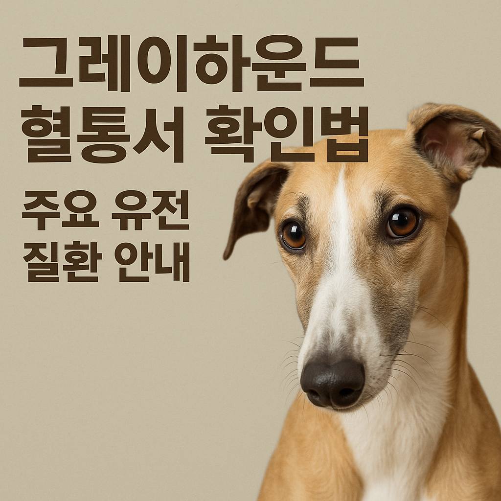 그레이하운드 혈통서 확인법