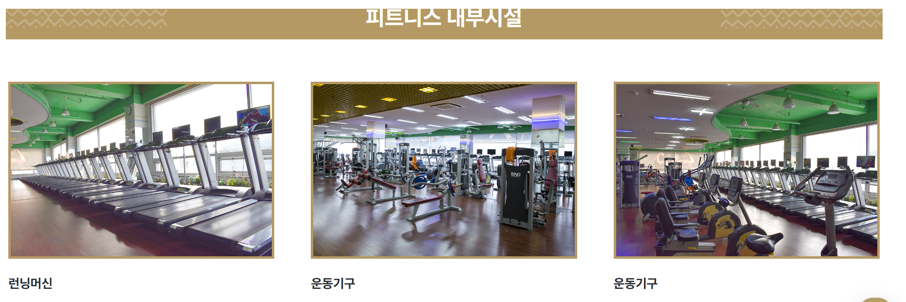 하피랜드