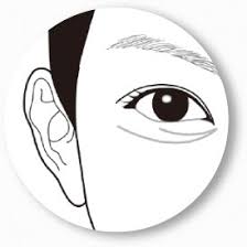 눈꺼풀 떨림 현상