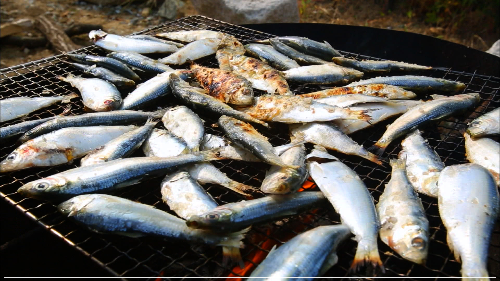 전어 활용 요리법 