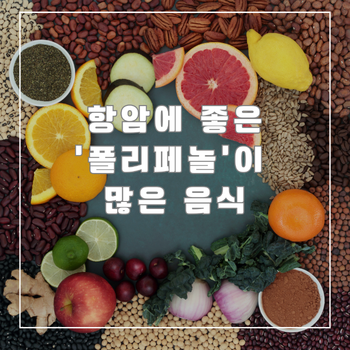 폴리페놀