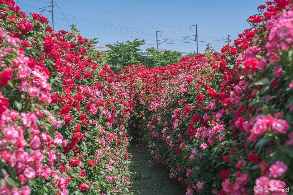 경산 가볼만한곳 베스트10