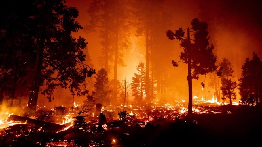 경남 산청 산불