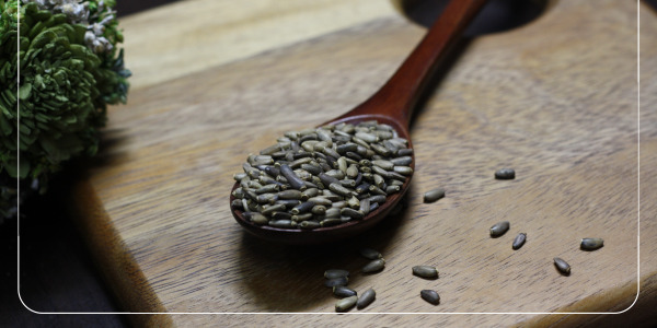 2밀크시슬 간 건강 개선 효과