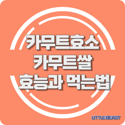 카무트효소와 카무트쌀의 효능과 먹는법