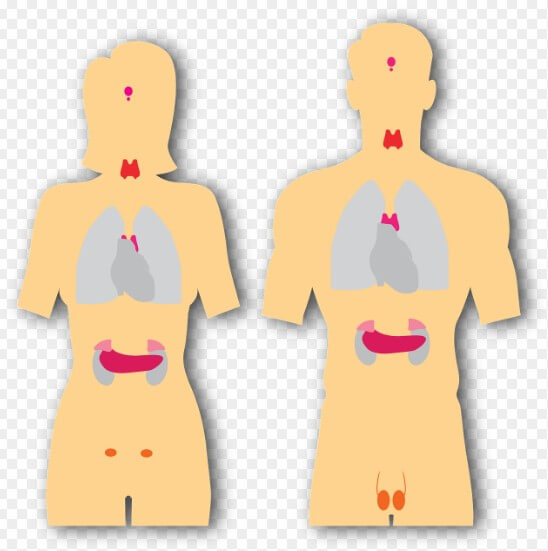 갑상선 기능 항진증에 대해 설명하는 그림