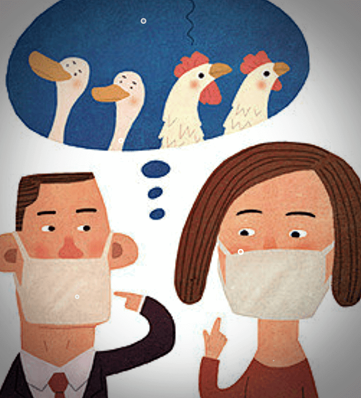 조류인플루엔자