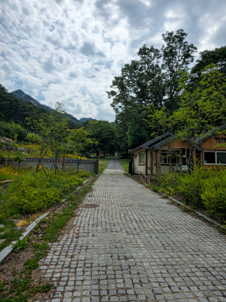 폐허에서 마주친 예술: 실제 벽화와 낙서에 담긴 이야기