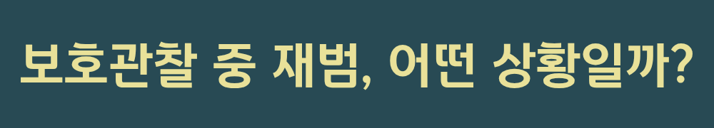 1. 보호관찰 중 재범은 어떤 상황일까?