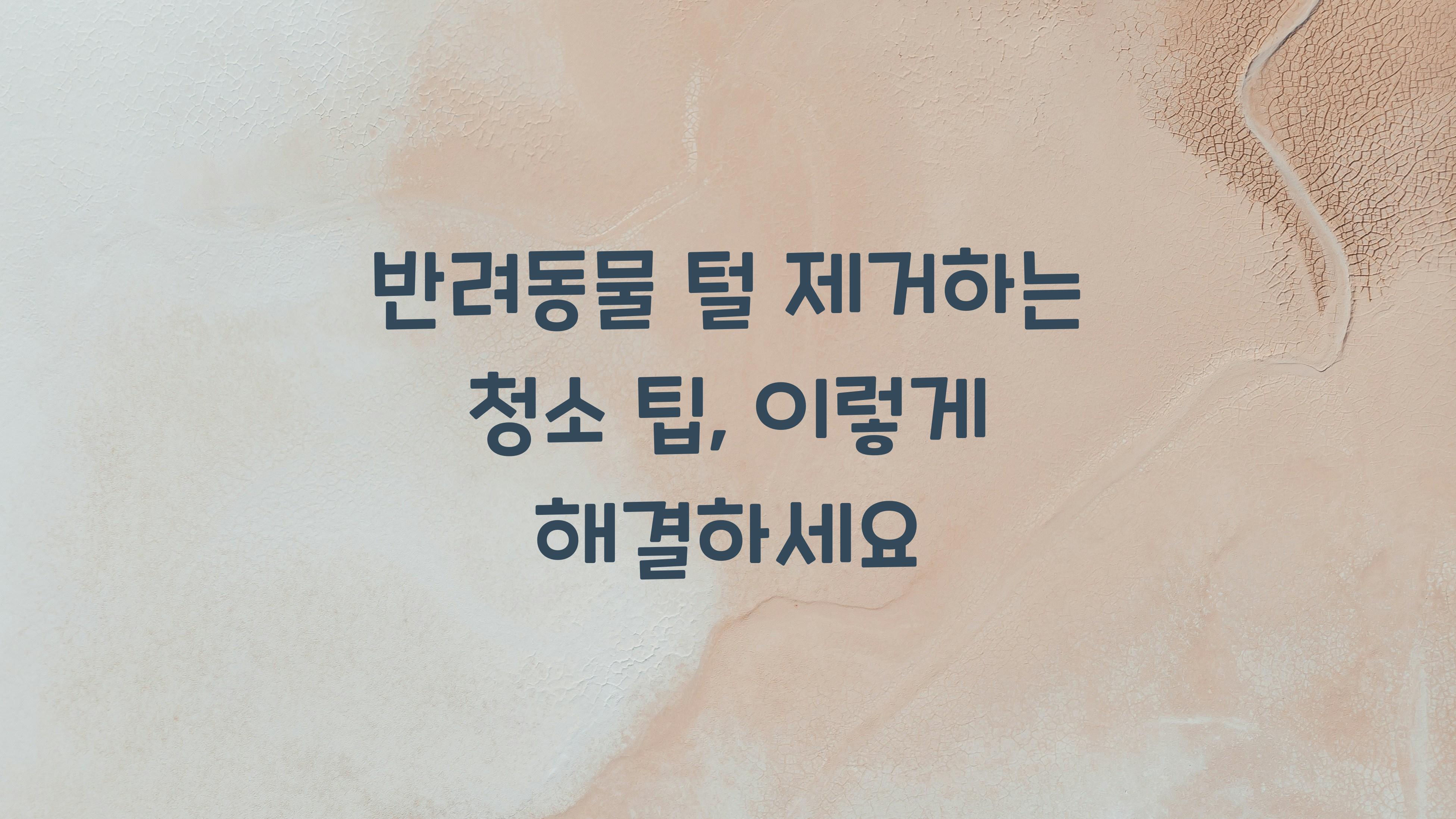 반려동물 털 제거하는 청소 팁