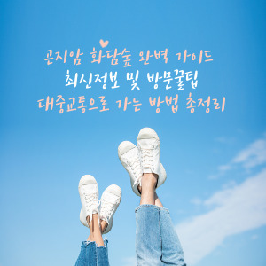 곤지암 화담숲 완벽 가이드