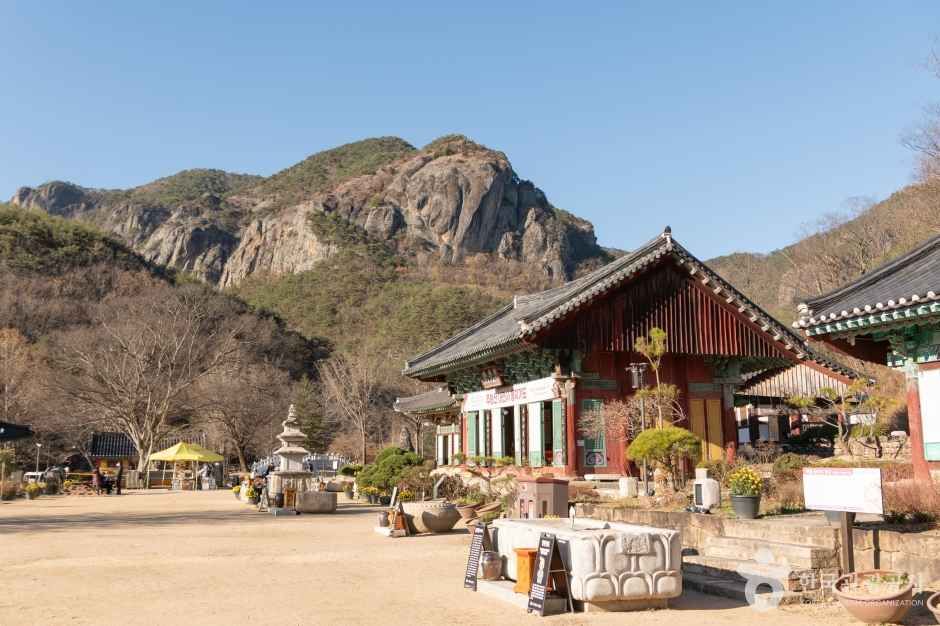 주왕산 단풍 코스 들머리 대전사와 기암