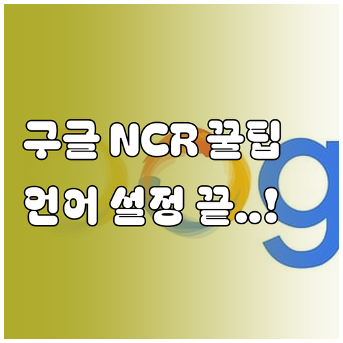 미국 구글 주소 NCR 활용법과 검색..