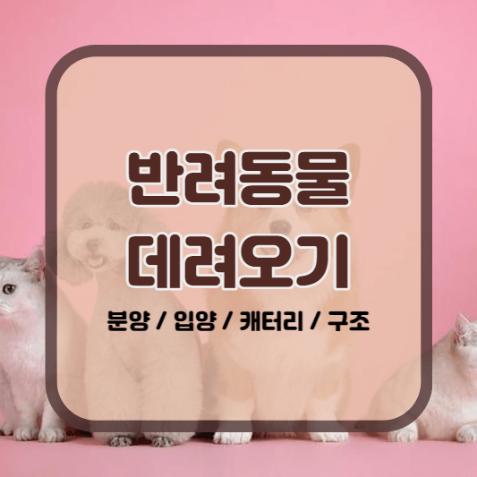 반려동물 분양 방법