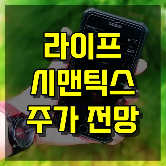 라이프시맨틱스 주가 전망