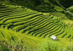 농지취득자격증명