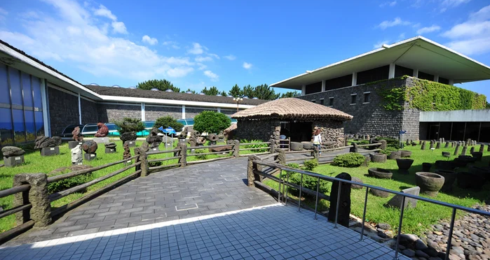 2026년 서귀포자연사박물관 완벽 가이드: 제주 가족여행 필수 코스로 떠오른 숨은 명소