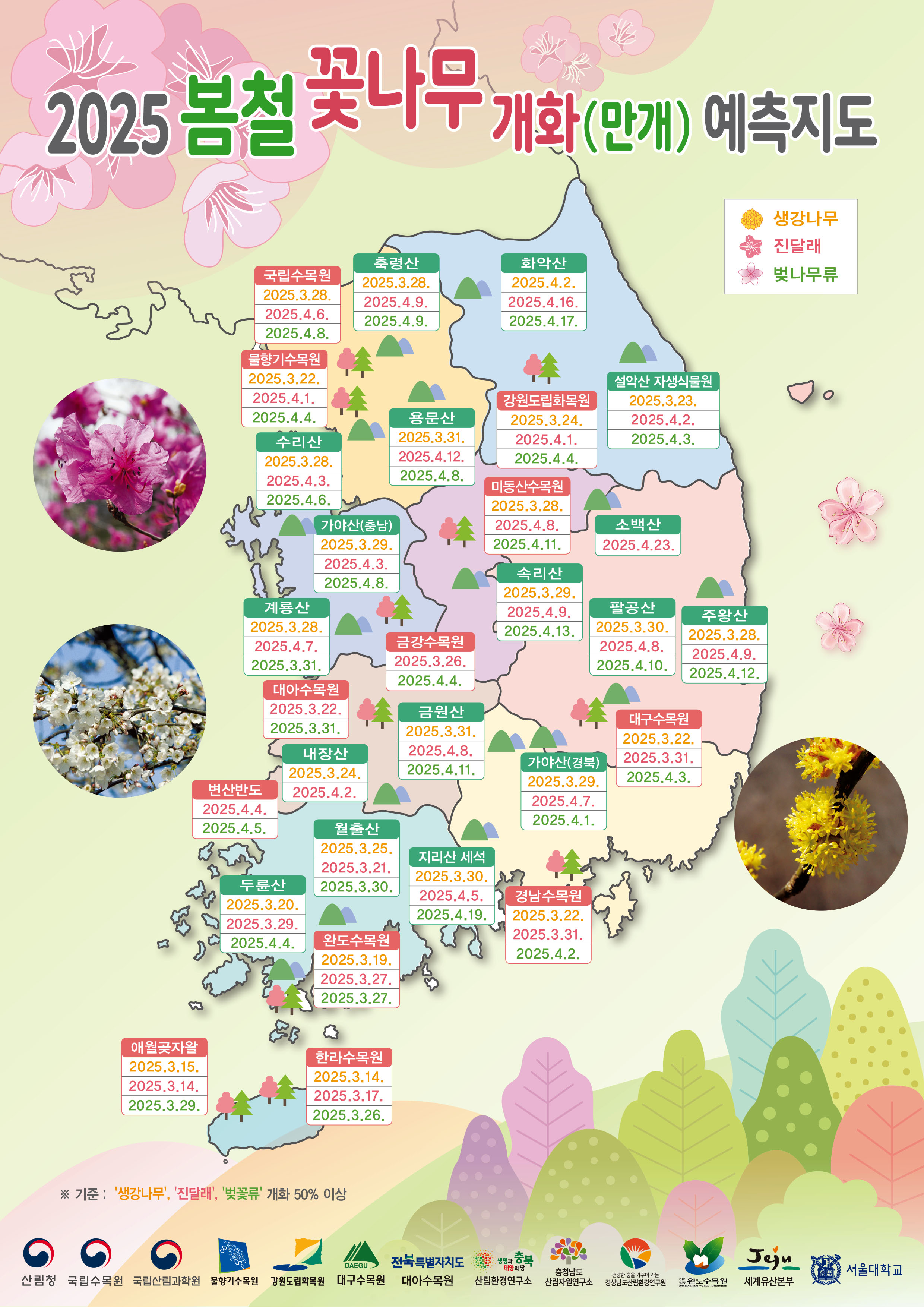2025년 벚꽃 개화 예측도