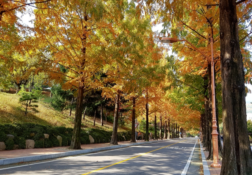 계명대학교 성서캠퍼스4
