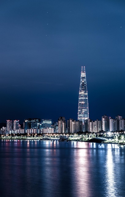 서울 롯데타워월드 빌딩 야경