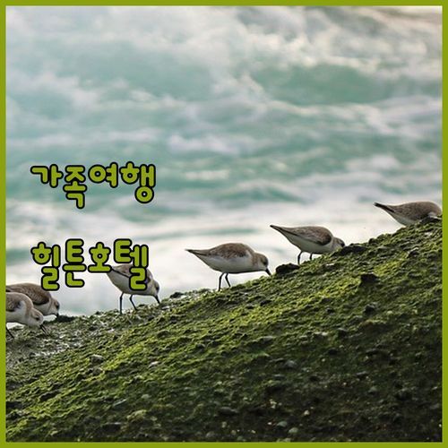 더블트리 바이 힐튼 바르샤바: 바르샤..