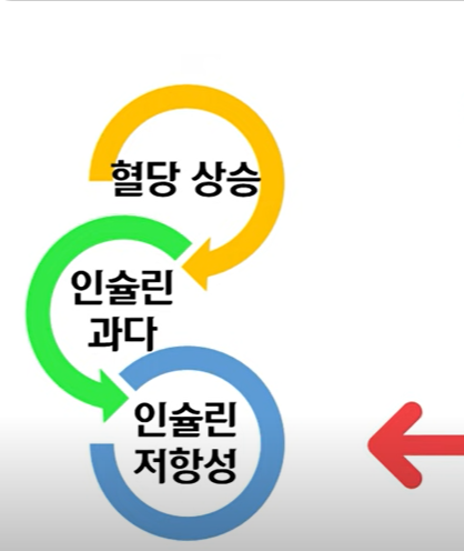 인슐린저항성
