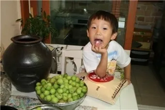 매실액기스 효능 해독 작용 숙취 건강 효과 정리_13