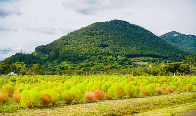 황산공원